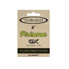 Vision - Vision prisma Leader