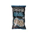 Starbaits - Probiotec Boilies 1kg