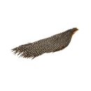 Hareline - Half Cape