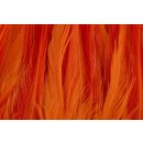 Future Fly - FF Rooster Saddle Feathers