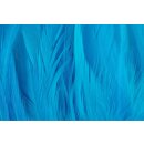 Future Fly - FF Rooster Saddle Feathers