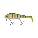 Gunki - Grouper 180S