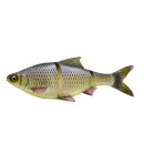 Savage Gear - 3D LT Roach 25cm