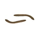 Libra Lure - Fatty D'worm 65mm