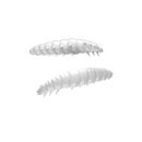 Libra Lure - Libra Lures Larva