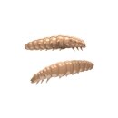 Libra Lure - Libra Lures Larva