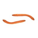 Libra Lures - D'Worm Turnament