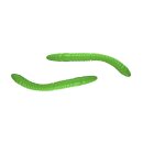 Libra Lures - D'Worm Turnament