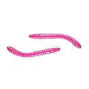 Libra Lures - D'Worm Turnament