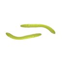 Libra Lures - D'Worm Turnament