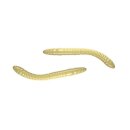 Libra Lures - D'Worm Turnament