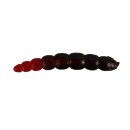 Ultimate Trout - Ultimate Trout Beemag