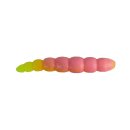 Ultimate Trout - Ultimate Trout Beemag