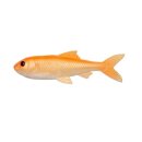 PulzBait - Skinz Roach/Trout/Perch