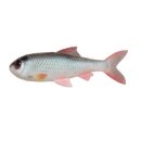 PulzBait - Skinz Roach/Trout/Perch