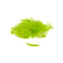 Fly Dressing - Premium CDC