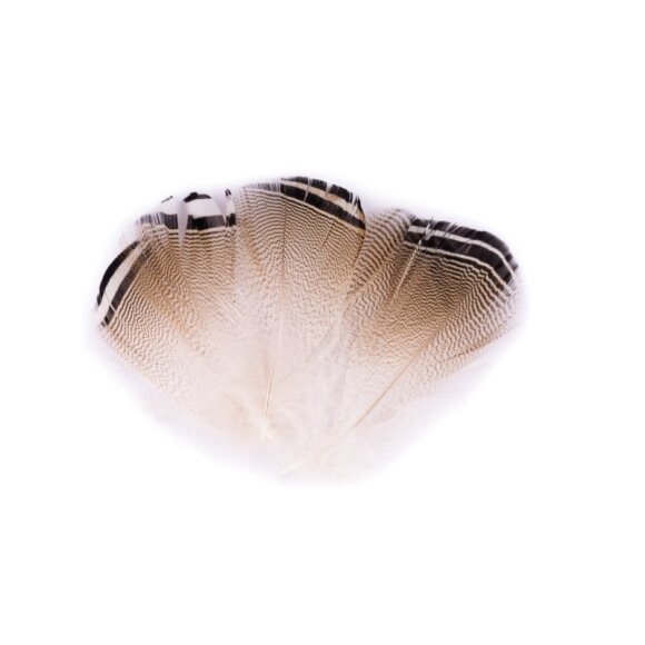 Fly Dressing - Wood Duck - Black/White Feather