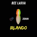 SE Hooks - Bee Larva Sinking