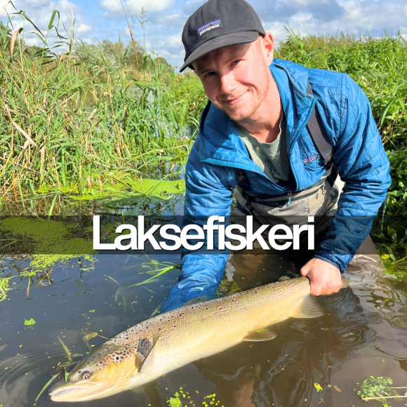 find alt til dit laksefiskeri her!