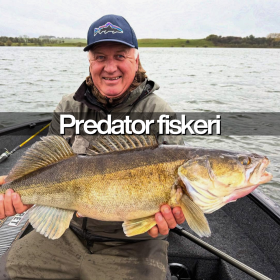 Predator fiskeri 