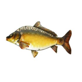 Eurocatch - Glas Fish - Spejlkarpe 90cm
