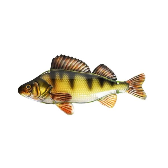 Eurocatch - Glas Fish - Aborre 40cm