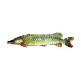 Eurocatch - Glas Fish - Pike 90cm