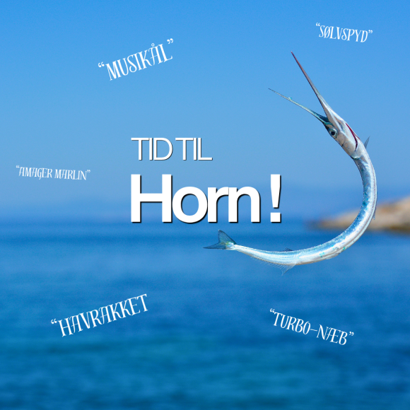 Find dit hornfiskegrej her!