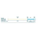 RIO Products - Coastal Seatrout WF