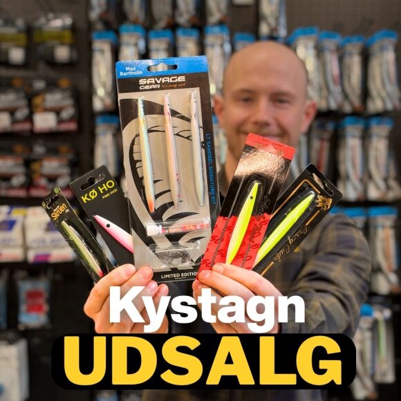 Kystblink til Spotpris