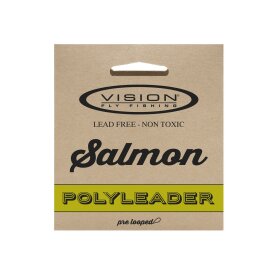 Vision - Salmon Polyleader