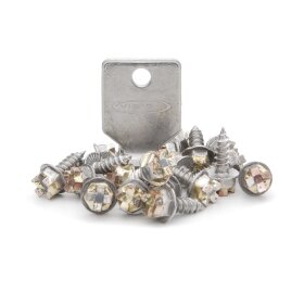 Vision - Tungsten Studs 20stk