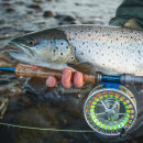 Vision - Stifu Seatrout