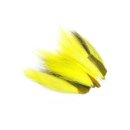 Fly Dressing - Backtail Piece Fly Dressing - Backtail Piece