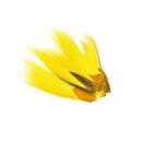 Fly Dressing - Backtail Piece Fly Dressing - Backtail Piece