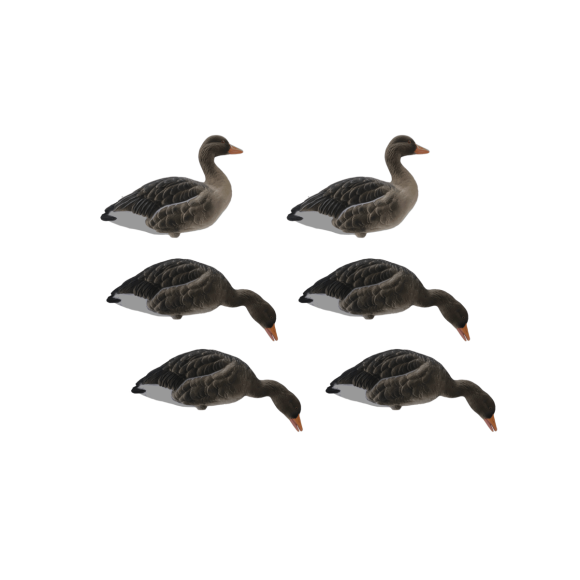 Dangate - FA Full Flocked Grågæs 6stk