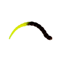 Probaits - Cobra Mini