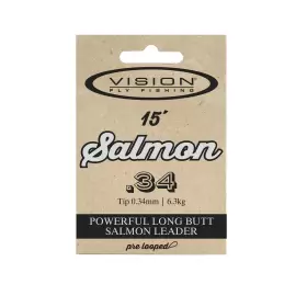 Vision - Salmon Leader