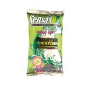Sensas - Crazy Groundbait 1KG