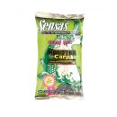 Sensas - Crazy Groundbait 1KG