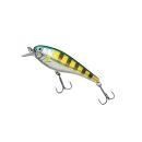 ABU Garcia - Beast Hi-Lo