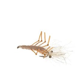 Unique Flies - Honey Shrimp